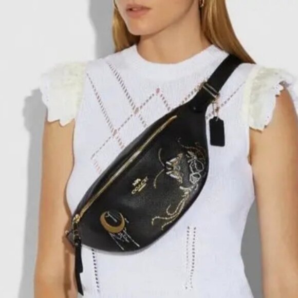 Coach NWT Belt Bag With Chelsea Animation Fanny Pack Moth Butterfly Champlain - Picture 2 of 12